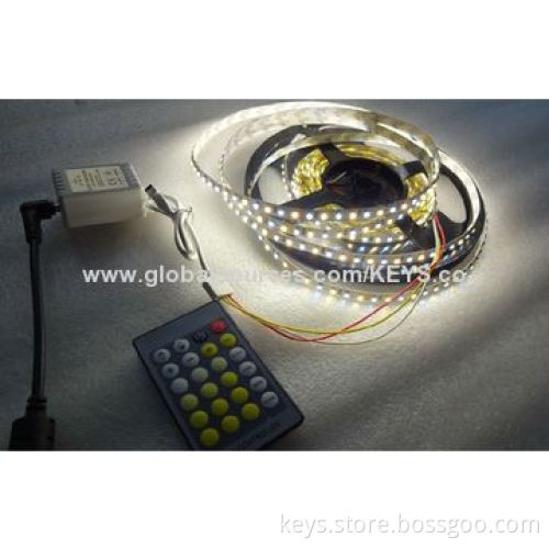 Single Chip LED 3528 (Warm White/White) 600 LEDs Color Temperature Adjustment LED Flexible Strip